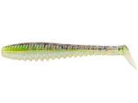 Shad Pontoon21 Awaruna DUN 2308