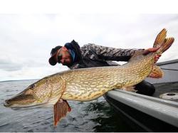Abu Garcia Beast Pike Shad 16cm Golden Roach