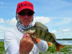 Bass Assassin Curly Shad 5cm Chartreuse Pepper Shad Panfish