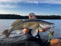 Blackbay BlackBug Beetle Junior 17cm 35g Chub