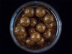 Carp Adventures HOOKme Sweet Hookbaits