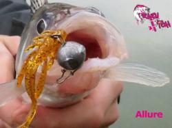 Crazy Fish Allure 2.7cm 12 Squid