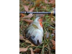 FishUp Fancy Grub 6.3cm #081 Pearl