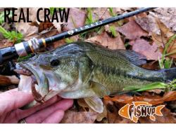 FishUp Real Craw 3.8cm #043 Watermelon Brown and Black
