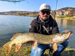 RTB Two Layer Softshell