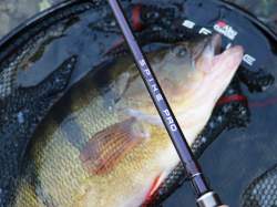 Abu Garcia Spike PRO Jigging 2.74m 14-60g Extra Fast