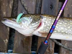 Pontoon21 GAD Delta DLS70MHF2 2.13m 8-32g Fast