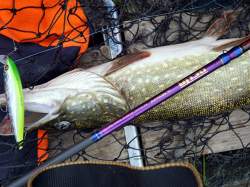 Pontoon21 GAD Delta DLS70MHF2 2.13m 8-32g Fast