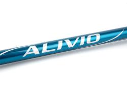 Shimano Alivio FX Surf TE 4.20m 150g