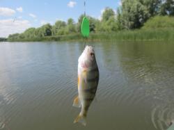 SV Fishing Koketka 2.5cm 2.6g SB03