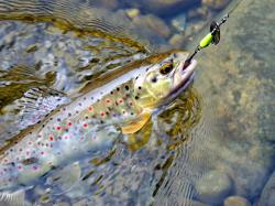 Smith AR-S Spinner Trout 4.5g 04 RSBK