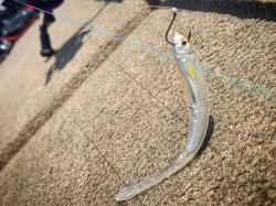 Livetarget Ghost Tail Minnow 9.5cm Silver Pearl