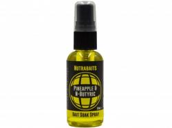 Nutrabaits Alternative Bait Soak Spray Pineapple and N-Butyric