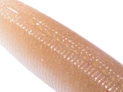 O.S.P Dolive Stick Fat TW146 Ebimiso Black