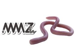 O.S.P MMZ Small TW-198 Natural Mimizu