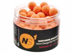CC Moore Northern Specias NS1 Orange Pop-up