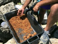 Presa bulgari Advance Fishing Ball Maker