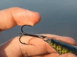 River2Sea Biggie 57 5.7cm 8.8g Real Sunfish 10 F