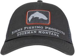 Simms Trout Icon Trucker Carbon