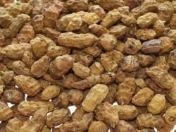 Select Bais Mixed Sizes Tiger Nuts 5kg