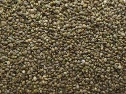 Select Bais Natural Hemp Seeds 5kg