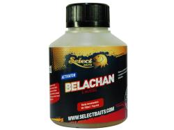 Select Baits Belachan Activator