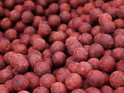 Select Baits Meat & Fish + Squid & Octopus & Cranberry Boilies