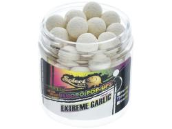 Select Baits pop-up Extreme Garlic