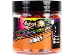 Select Baits pop-up Honey