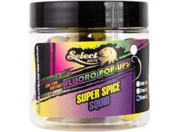 Select Baits Two-Tone Superspice-Squid Pop-up