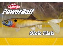 Shad Berkley PowerBait Sick Fish 10cm Clear Bream