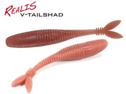 Shad DUO V-Tail 10cm F015 Silver Chart