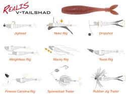 DUO V-Tail 10cm F015 Silver Chart