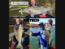 Keitech Swing Impact FAT Pink Silver Glow EA#10