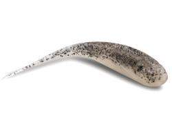 Shad Storm So-Run Spike Tail 10cm Lively Mackerel