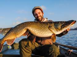 Westin Shadteez Slim 10cm Dirty Harbor Bulk