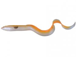 Savage Gear 3D Real Eel 15cm 12g Albino Eel