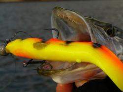 Swimbait Savage Gear 3D Real Eel Ready To Fish 20cm 38g Firetiger