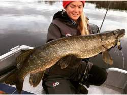 Abu Garcia Svartzonker McMio 14cm 21g Real Hot Pike SS