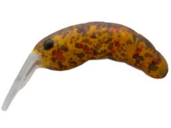Colmic Herakles Moth Trout Area 28F 2.8cm 1.5g Kiss Chocolate F