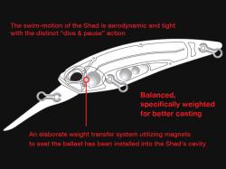 DUO Realis Shad 62DR 6.2cm 6g CPA3244 Bloody Black Gold SP