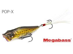 Megabass PopX 6.4cm 7g GG Peacock F
