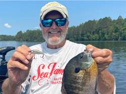 Rapala Countdown Elite 7.5cm 10g GDPY S