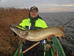 Salmo Sweeper SE14 14cm 50g Real Pike S