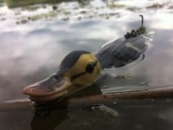 Vobler Savage Gear Suicide Duck 10.5cm 28g Natural 01 F