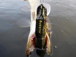 Vobler Westin Mike the Pike 28cm 185g Baltic Pike SS