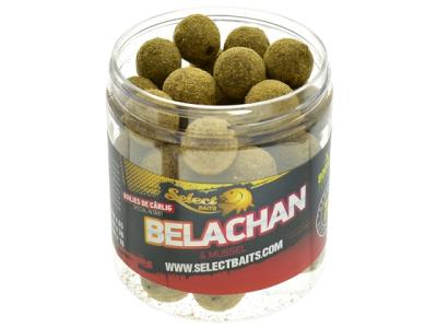 Select Extra Boosted Belachan Hookbaits