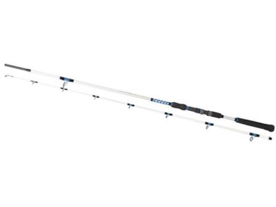 Dragon Boat Master Offshore Jig 2.60m 80-250g