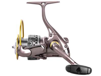 Ryobi Zauber 4000