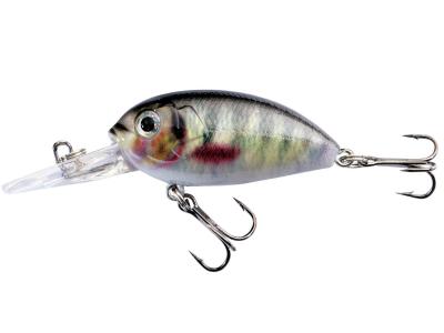 Jaxon Atract Aris 4cm 4.8g #M F